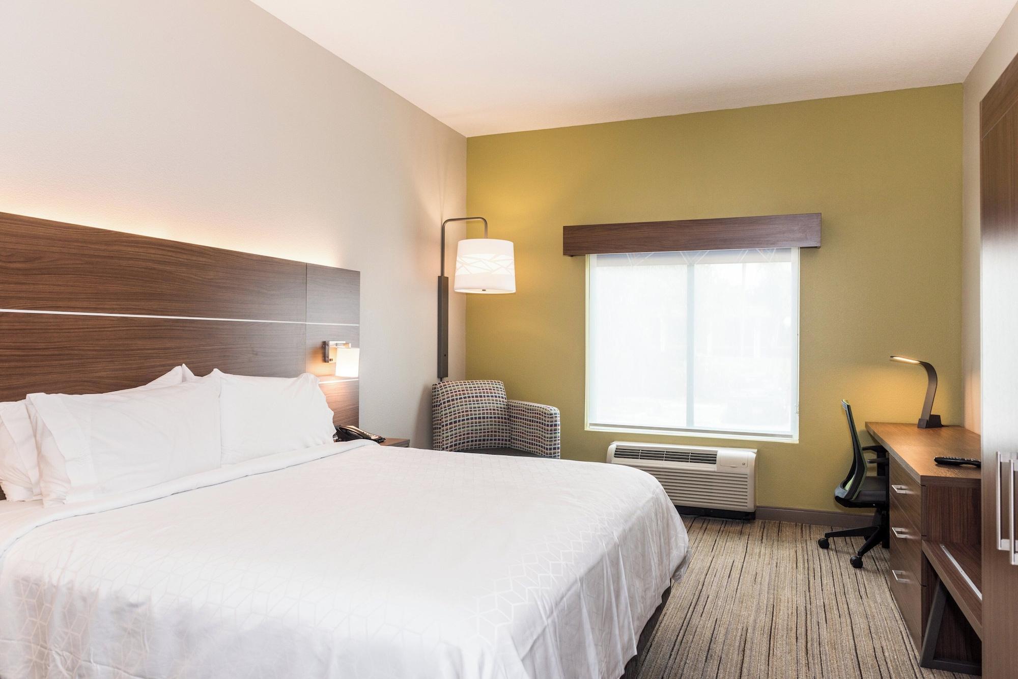 Habitación Holiday Inn Express & Suites Tampa USF Busch Gardens by IHG