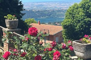 Alquiler Vacacional - Villa Irene in Rocca di Papa con  vista panoramica mozzafiato