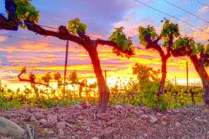 Alquiler Vacacional - SAJAZARRA. Holiday home Detached villa 160 m / 2 very bright