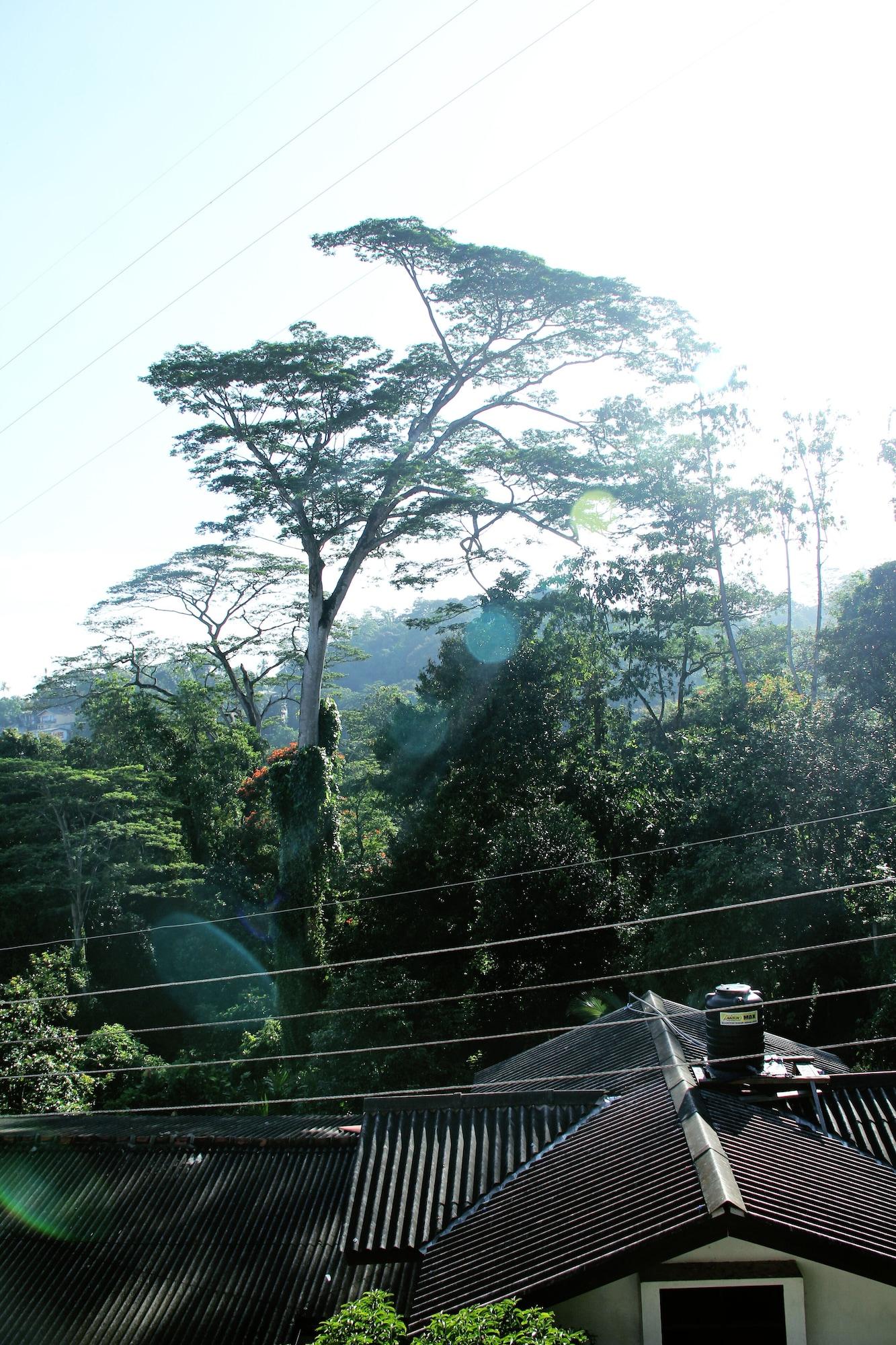 Vista Exterior Bethel Homestay