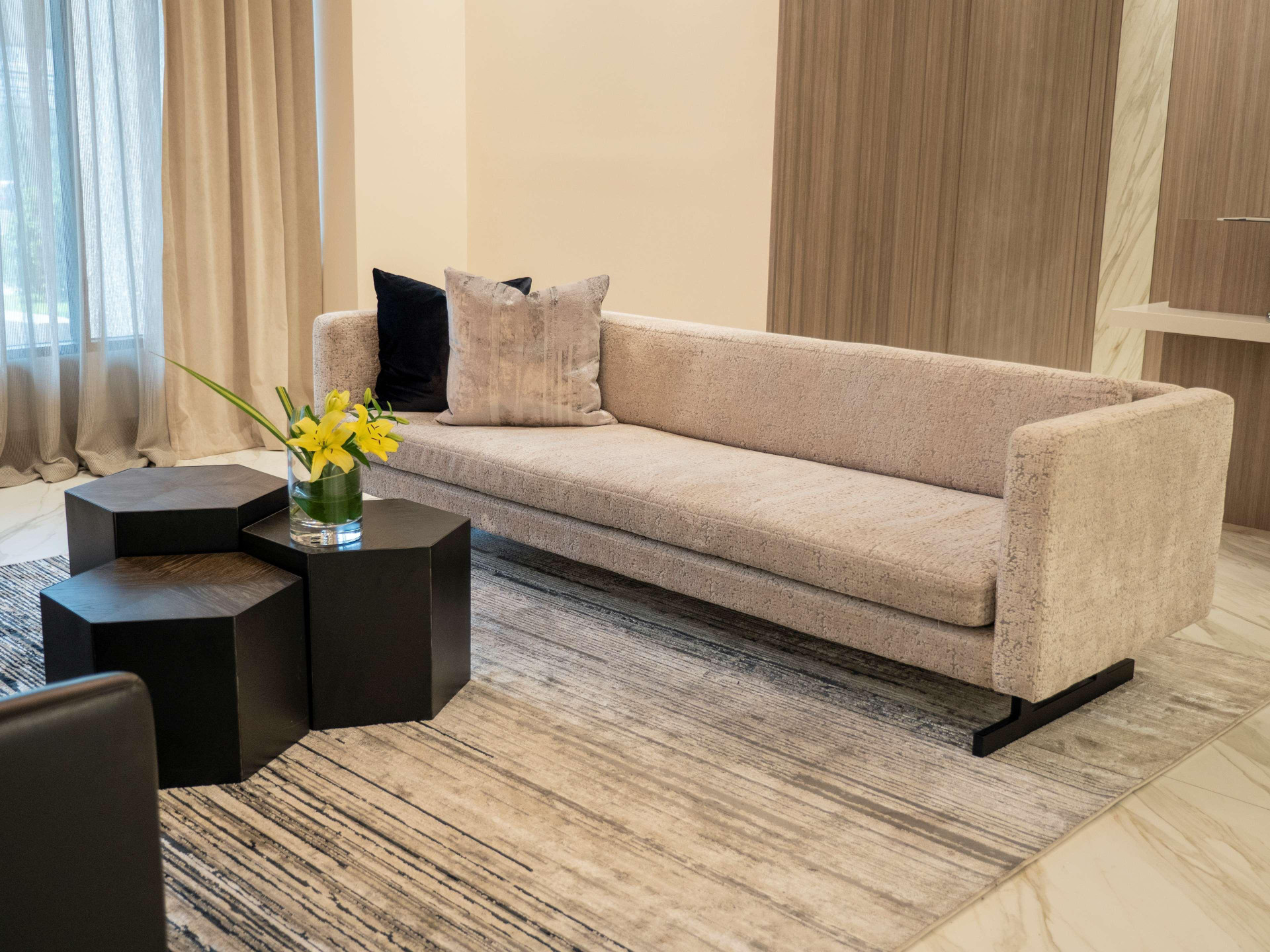 Vista Lobby MS MILENIUM