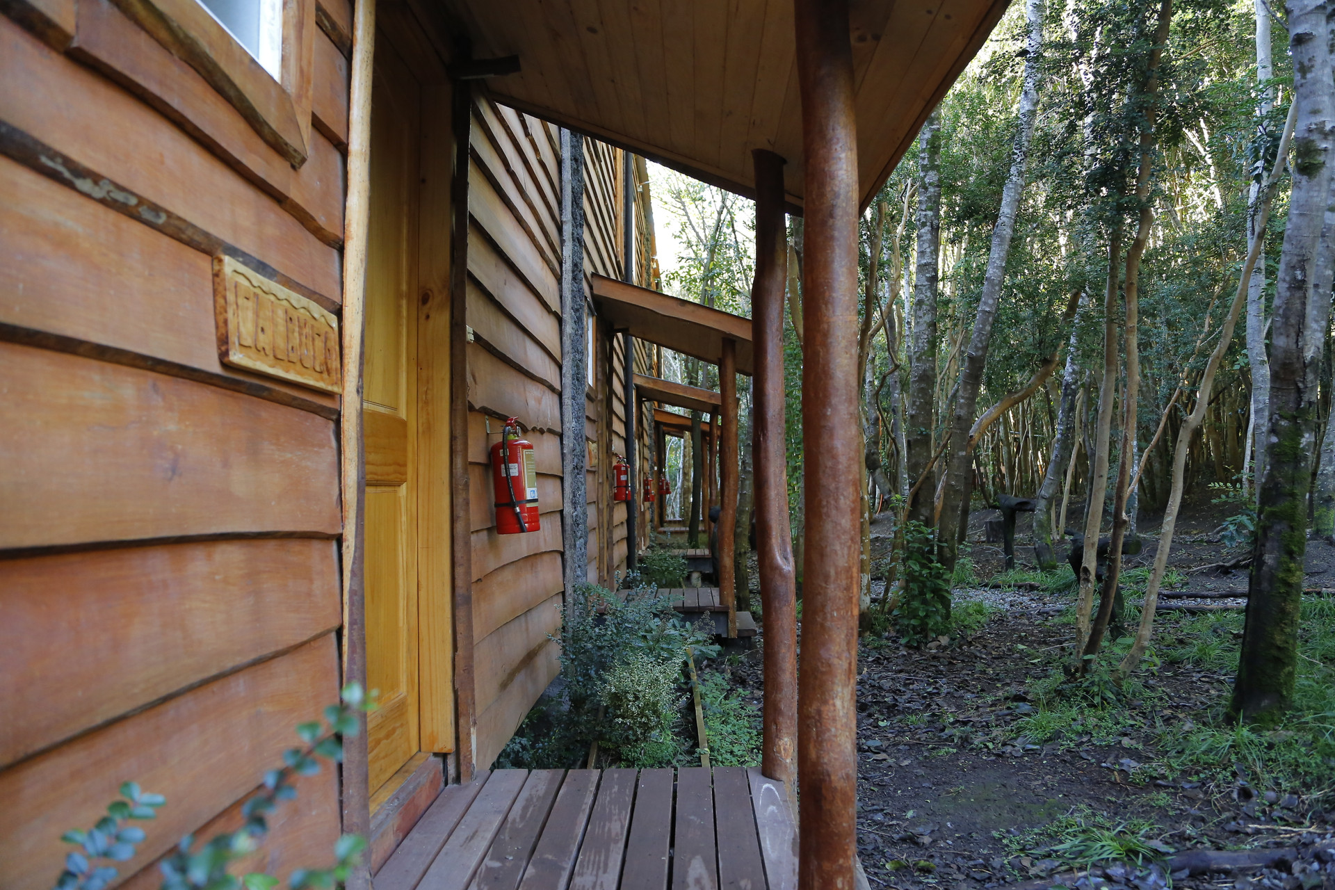 Varios Cabañas Ensenada Bosque Nativo