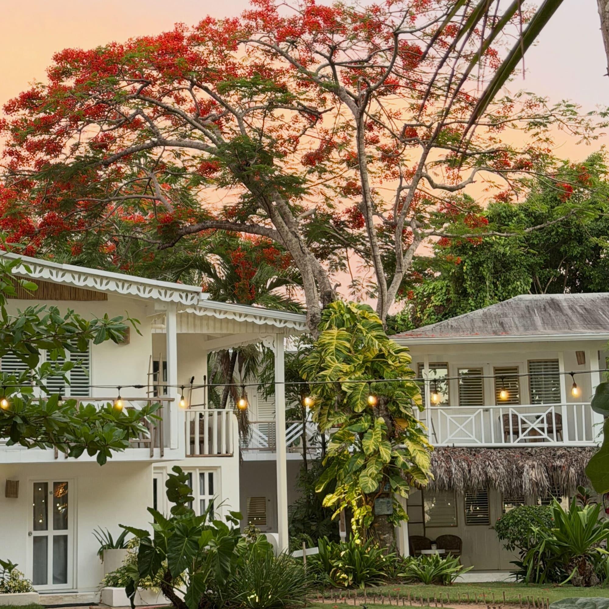 Vista Exterior Mosquito Boutique Hotel
