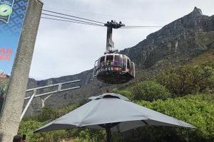Actividad - Excursión para grupos pequeños a Table Mountain, Penguins y Cape Point