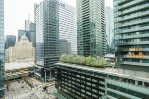 Alojamiento - Toronto Inn York