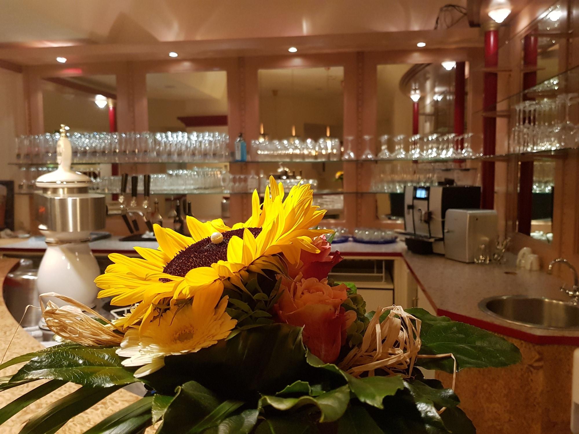 Bar/Salón Parkhotel Bad Harzburg