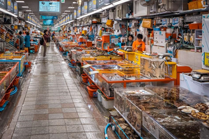 Actividad - Descubre Busan: Cheongsapo Sky Walk, Blue Line Train y Beach Train - Tour privado