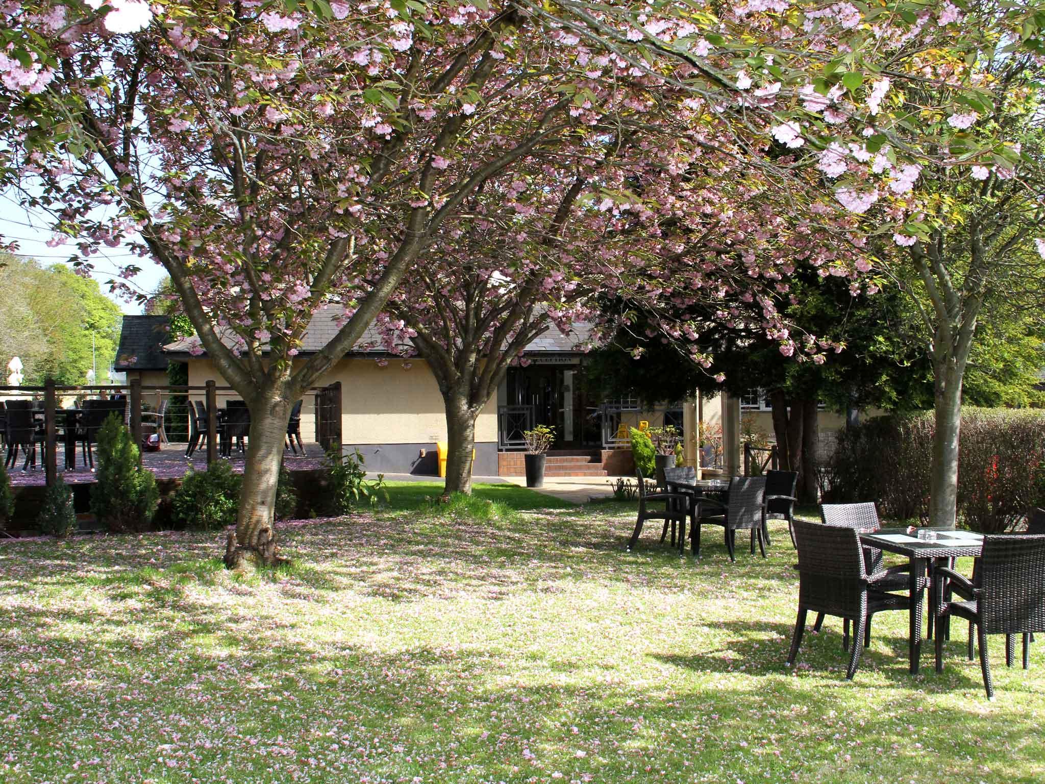 Varios Honest Lawyer Hotel