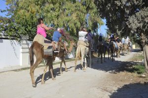 Actividad - Caravane and Quad Bike COMBO - Half-Day Tour Without Lunch