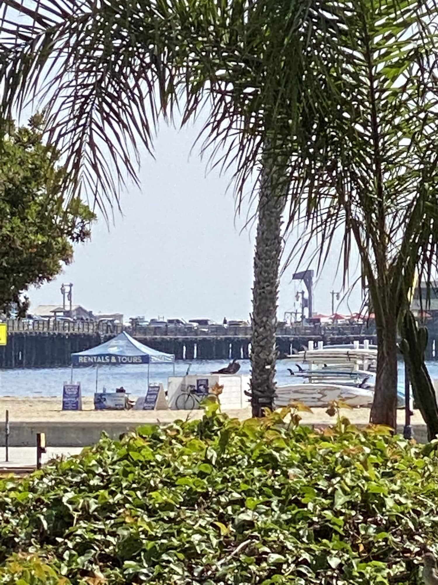 Playa Villa Rosa Inn