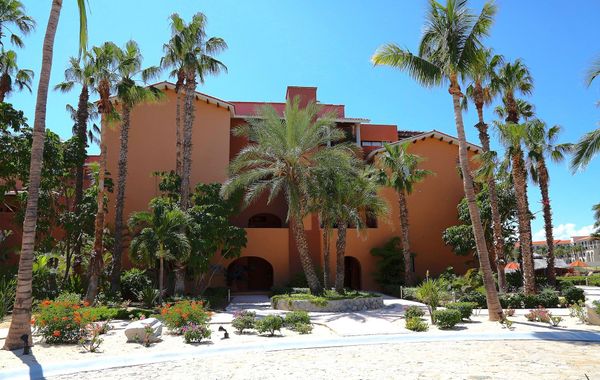 San Jose Del Cabo: una alternativa de aventura