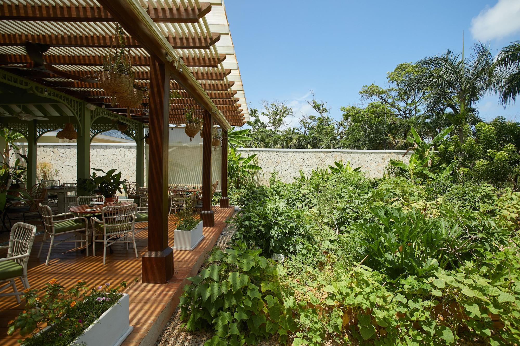 Restaurant Cayo Levantado Resort - All Inclusive