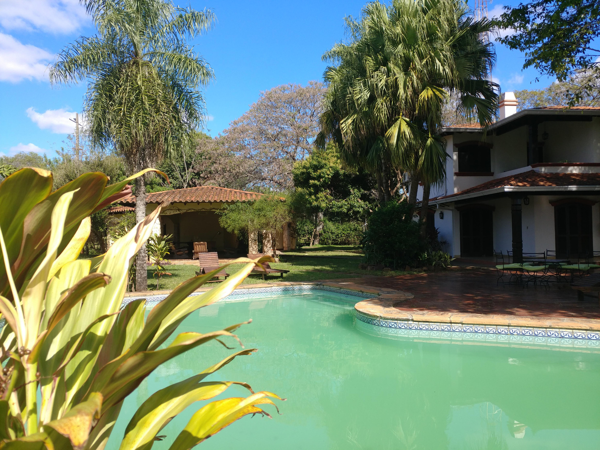 Vista Piscina Villa Dálmata