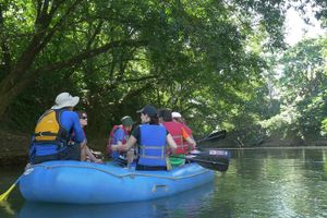 Actividad - Safari en bote desde Arenal