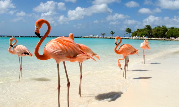 Oranjestad-West
