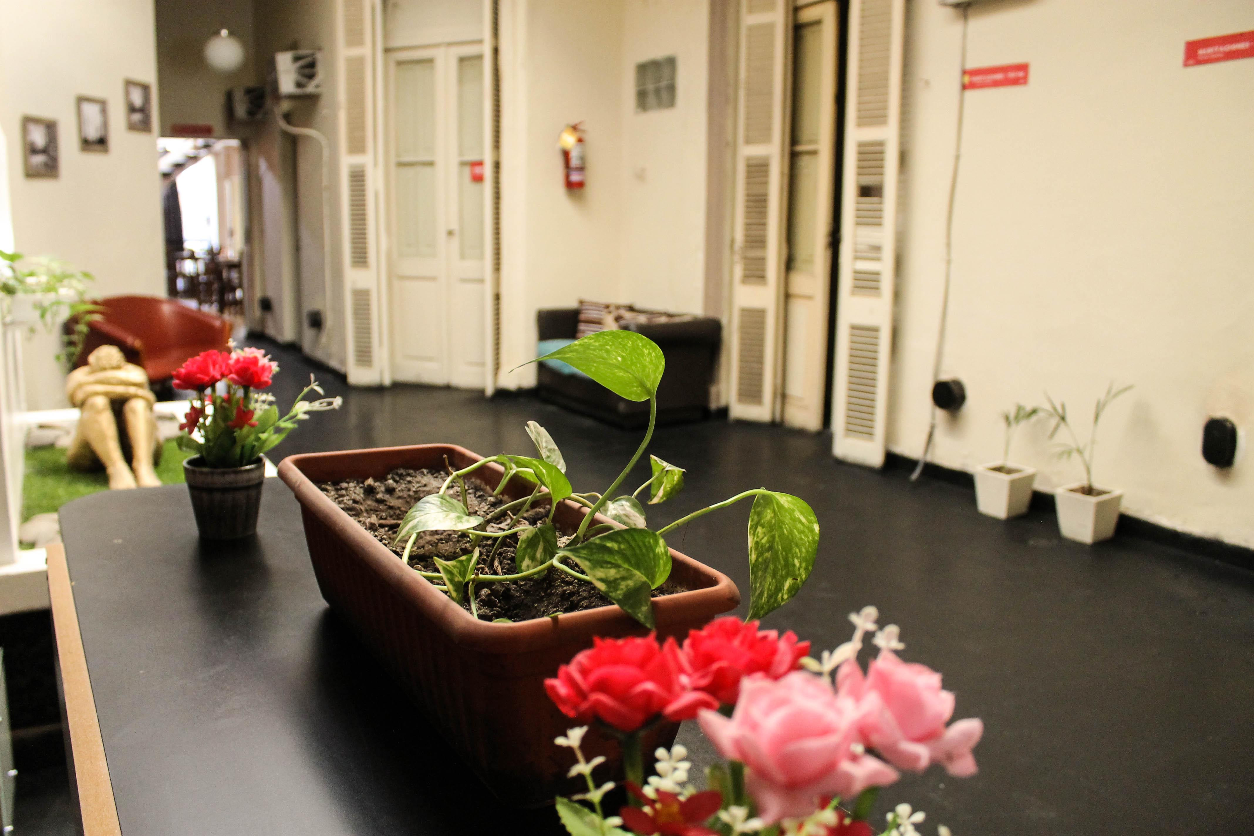 Vista Lobby Casi Guemes Hotel