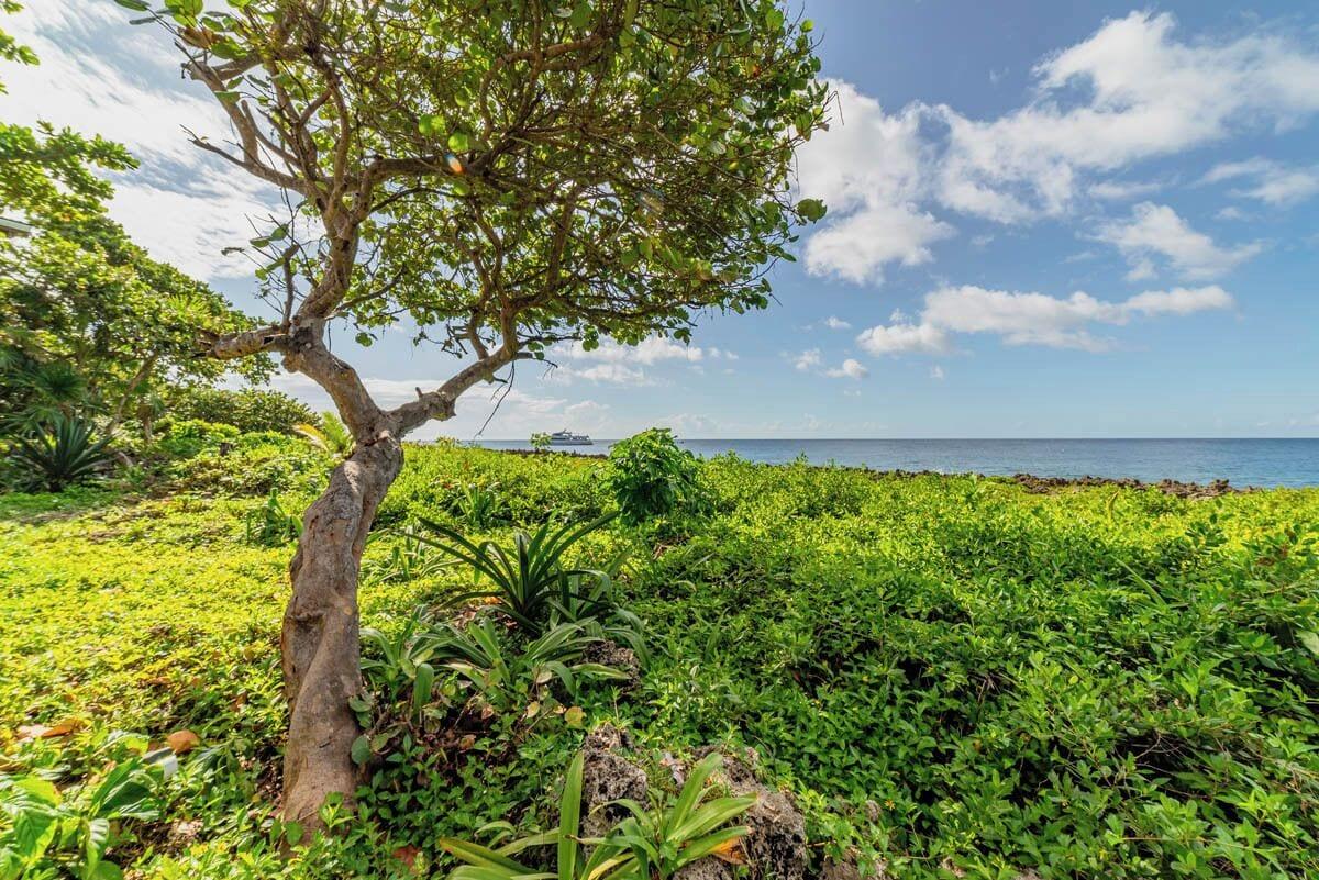 Vista Exterior Cocolobo Resort