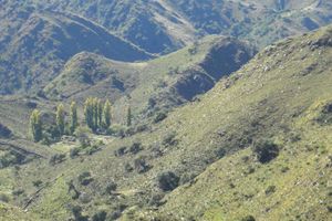 Actividad - Excursión a Río Grande y Nogolí