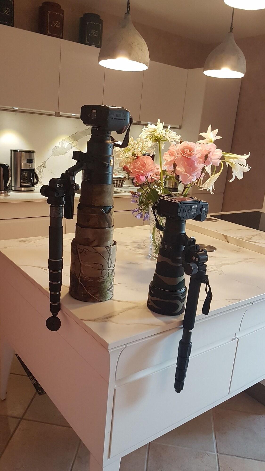 Vista Lobby Chambres d'hôtes et Gites de Lanevry