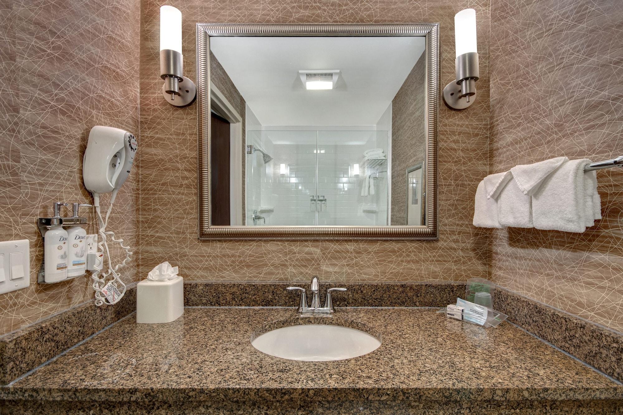 Habitación Holiday Inn Detroit Metro Airport by IHG