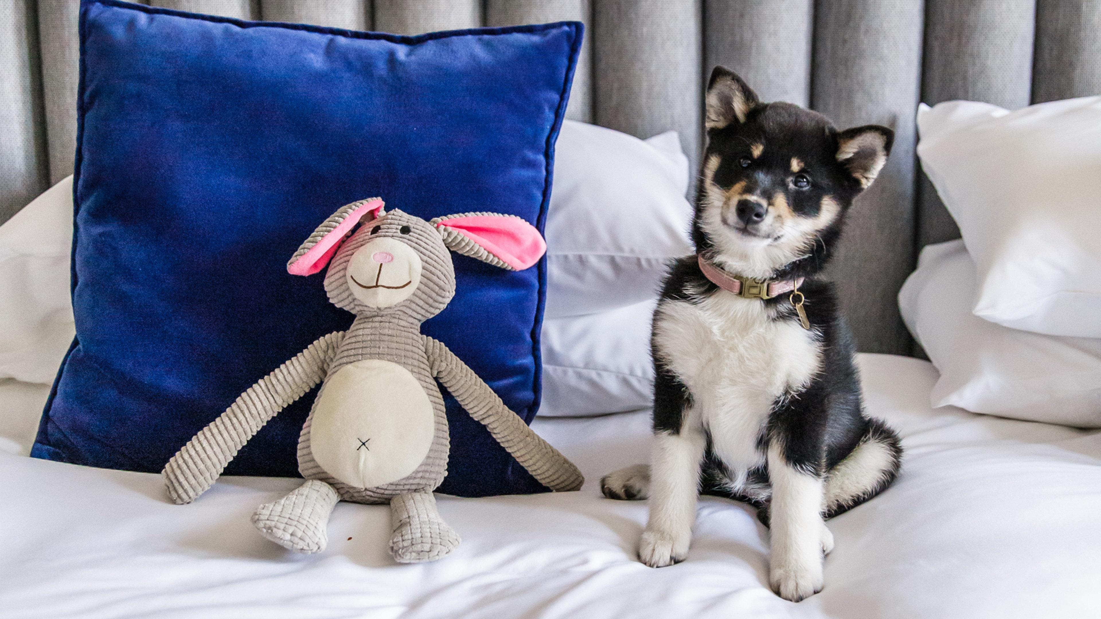 Vista Lobby Kimpton De Witt Amsterdam by IHG