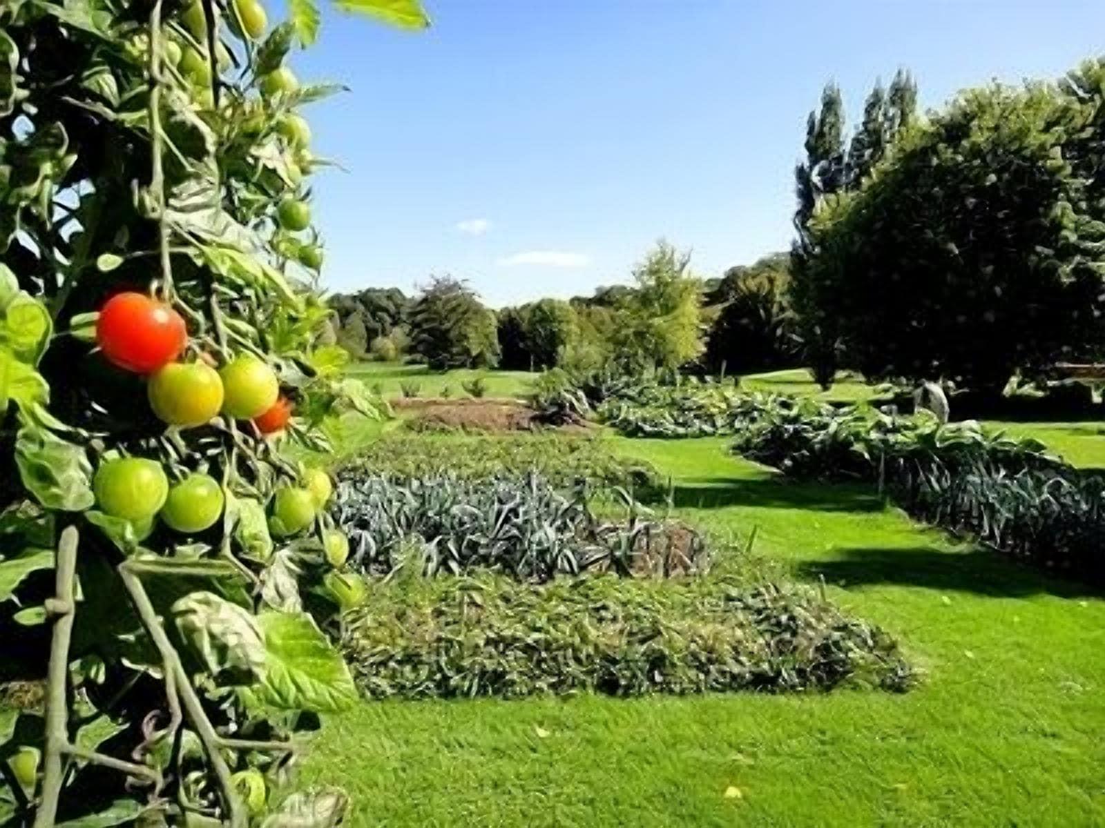 Vista Exterior Domaine de l'Arbrelle