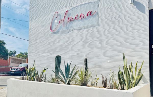 Colmena Hotel Los Cabos Marina - Hoteles familiares en Cabo San Lucas