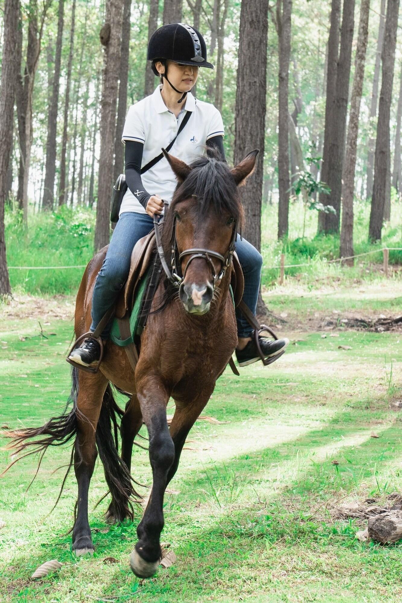 Instalaciones Recreativas vKirirom Pine Resort