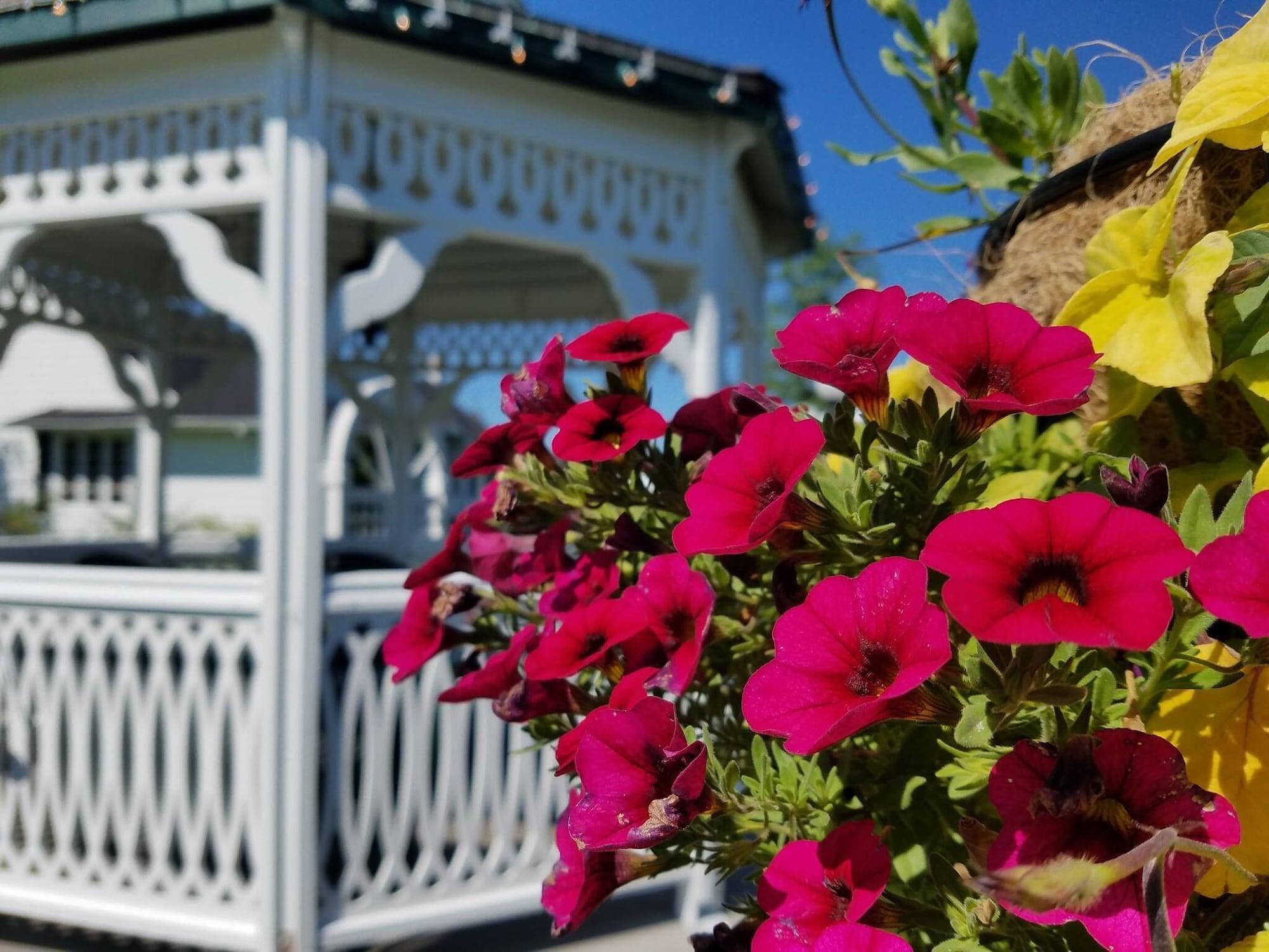 Vista Exterior Plaza Motor Motel