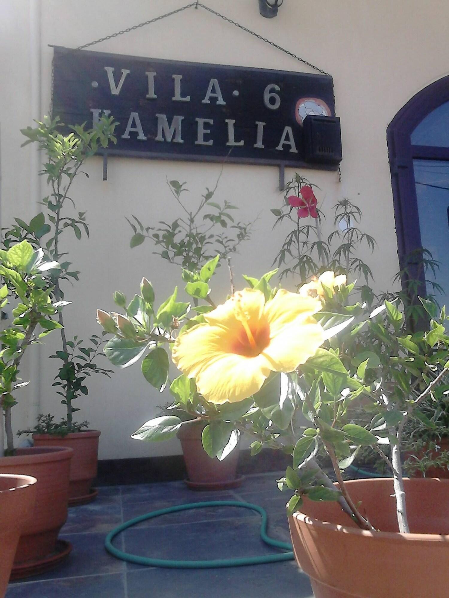 Vista Exterior Vila Camellia