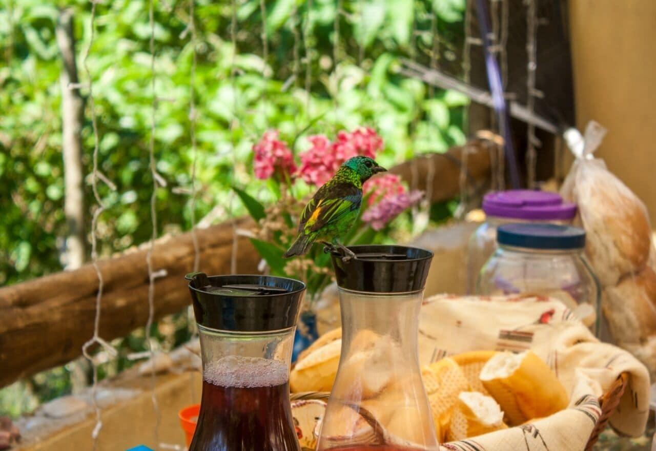 Restaurant Manacá Prumirim suites