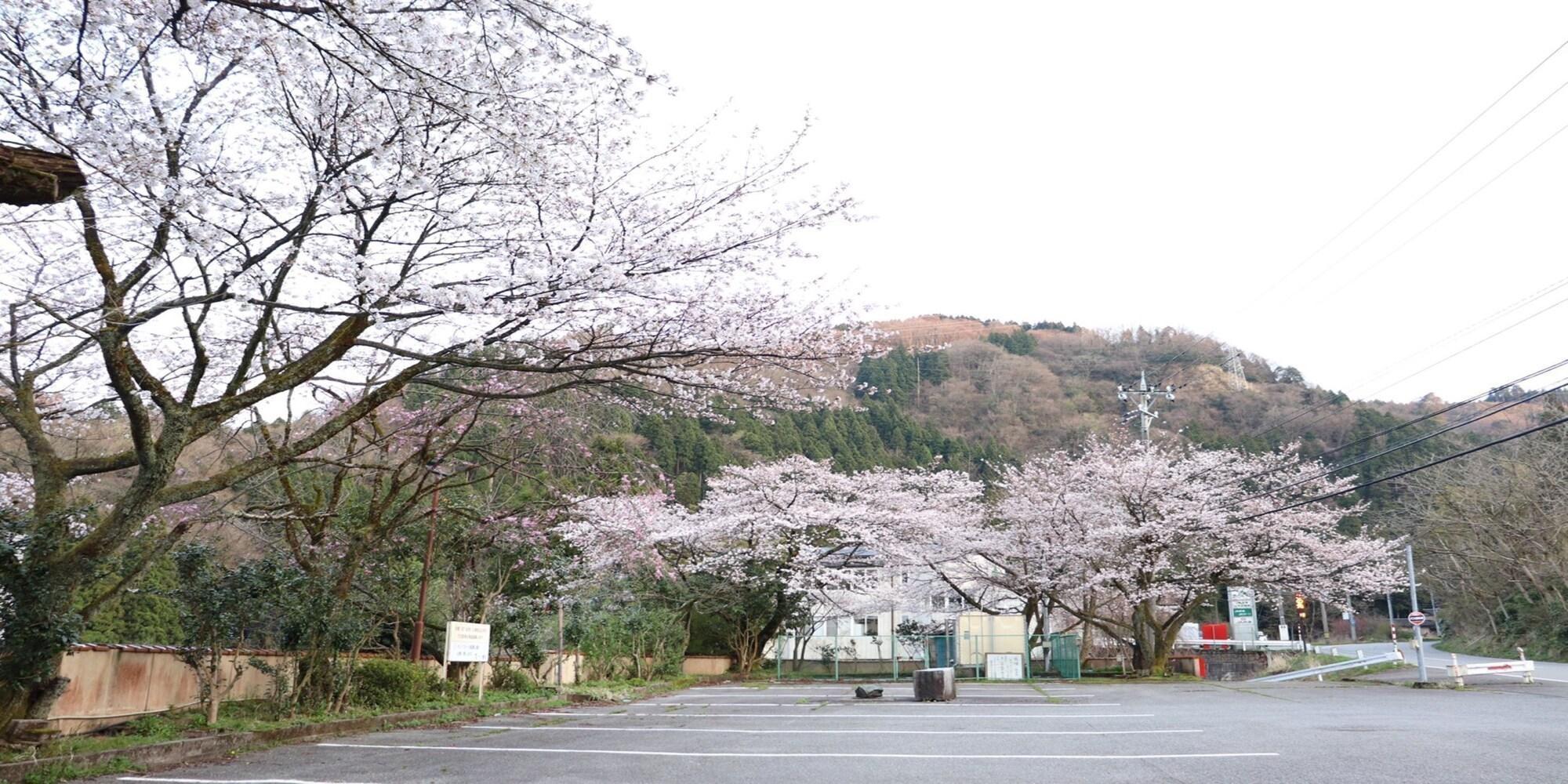 Vista Exterior Yamanaka Spa Hanatsubaki