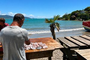 Actividad - Tour esencial por las playas de Garopaba: 6 playas