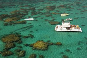Actividad - Maracajaú - Experiencia en el Caribe del Rio Grande do Norte