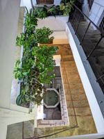 Alojamiento - Flamingo Guest House
