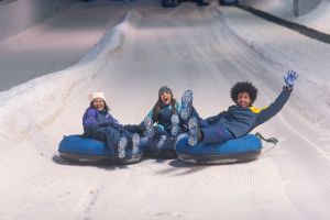 Passeio - Snowland: Neve de Verdade! - Passaporte Oficial