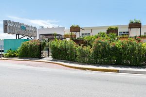 Hoteles Cerca de Coco Bongo con Parque Acuático