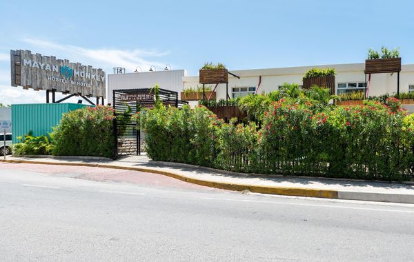 Mayan Monkey Cancun | Social Hotel - Hoteles cerca de Playa Marlín en Cancún