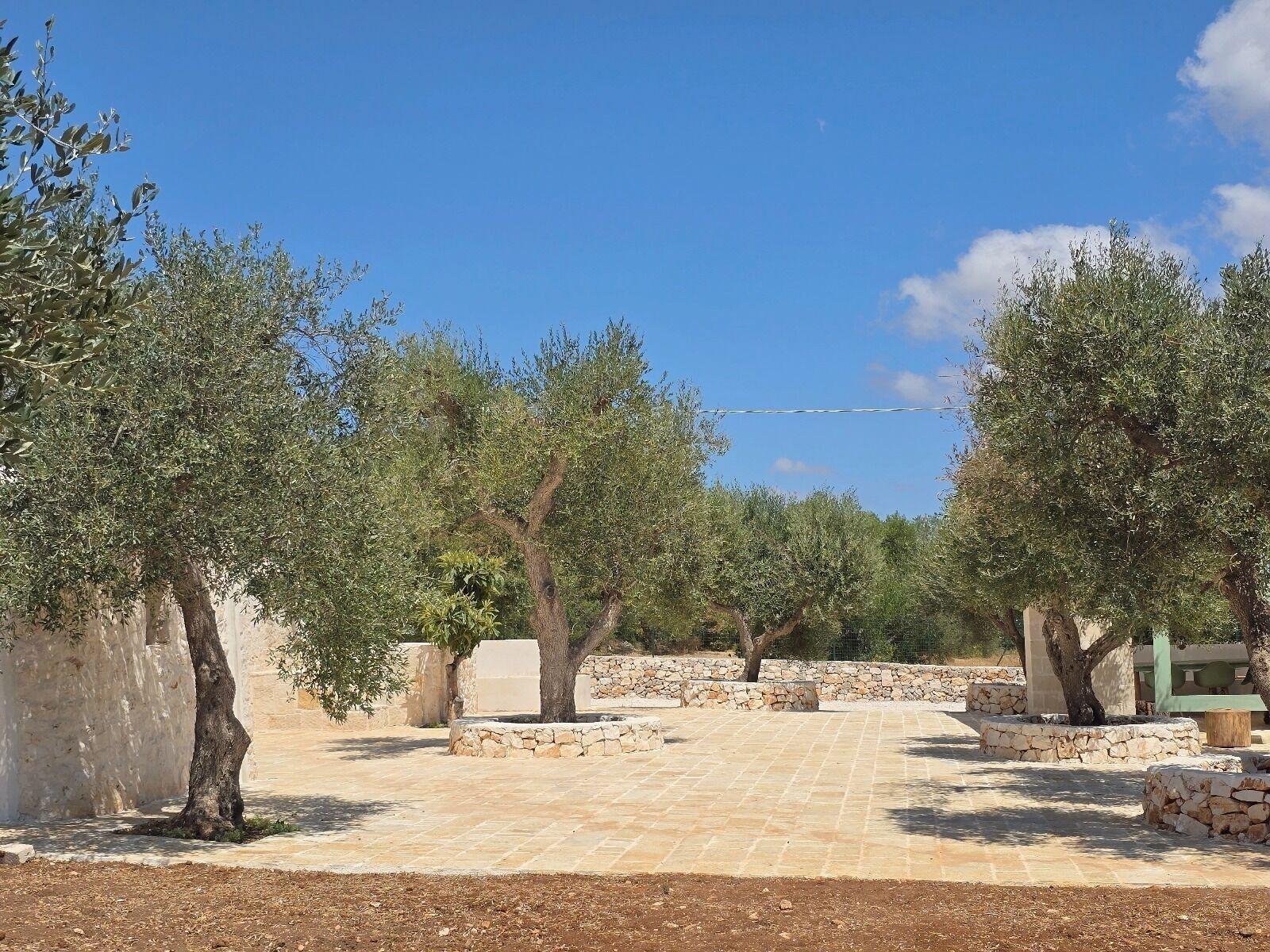 Bar/Salón Feudi Mandolivo