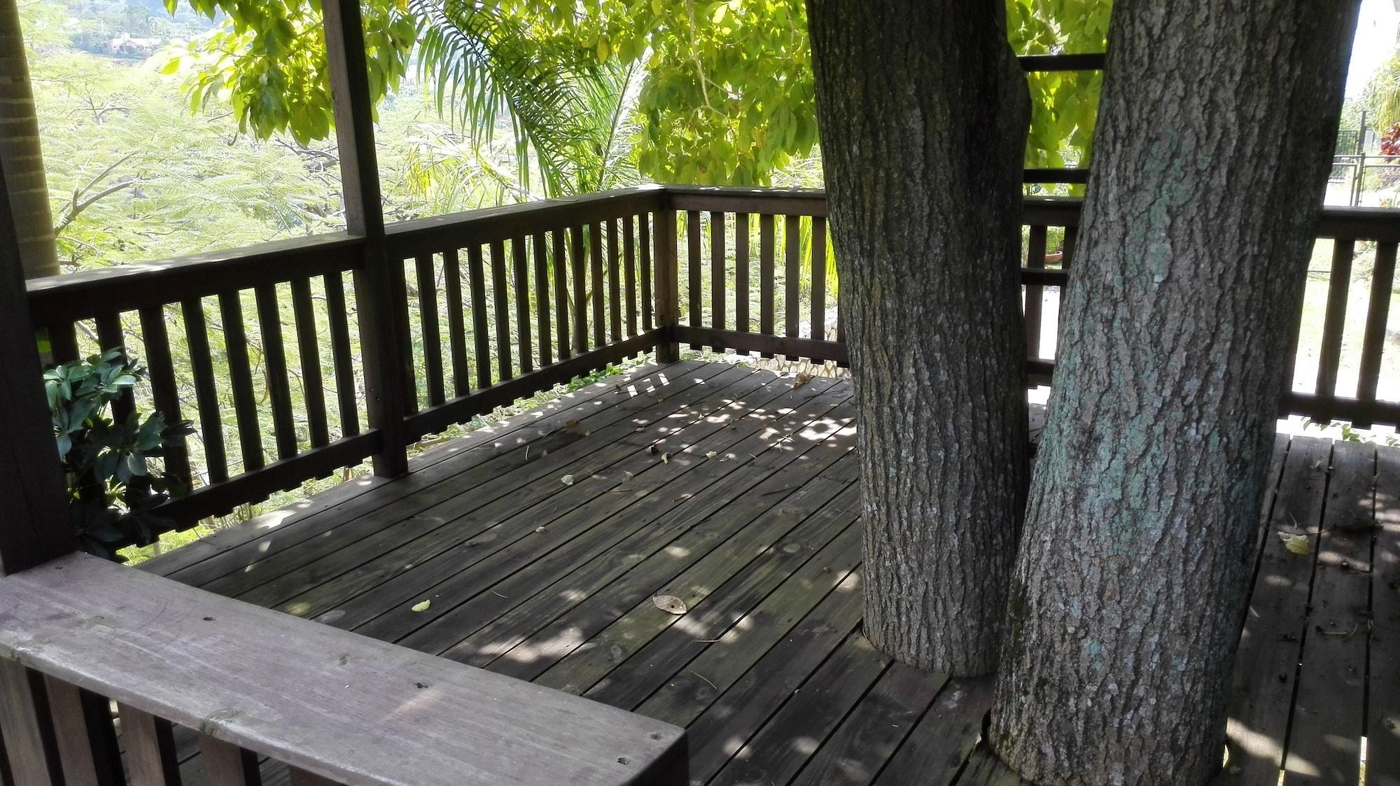 Instalaciones Recreativas Neita's Nest - Jamaican Bed & Breakfast