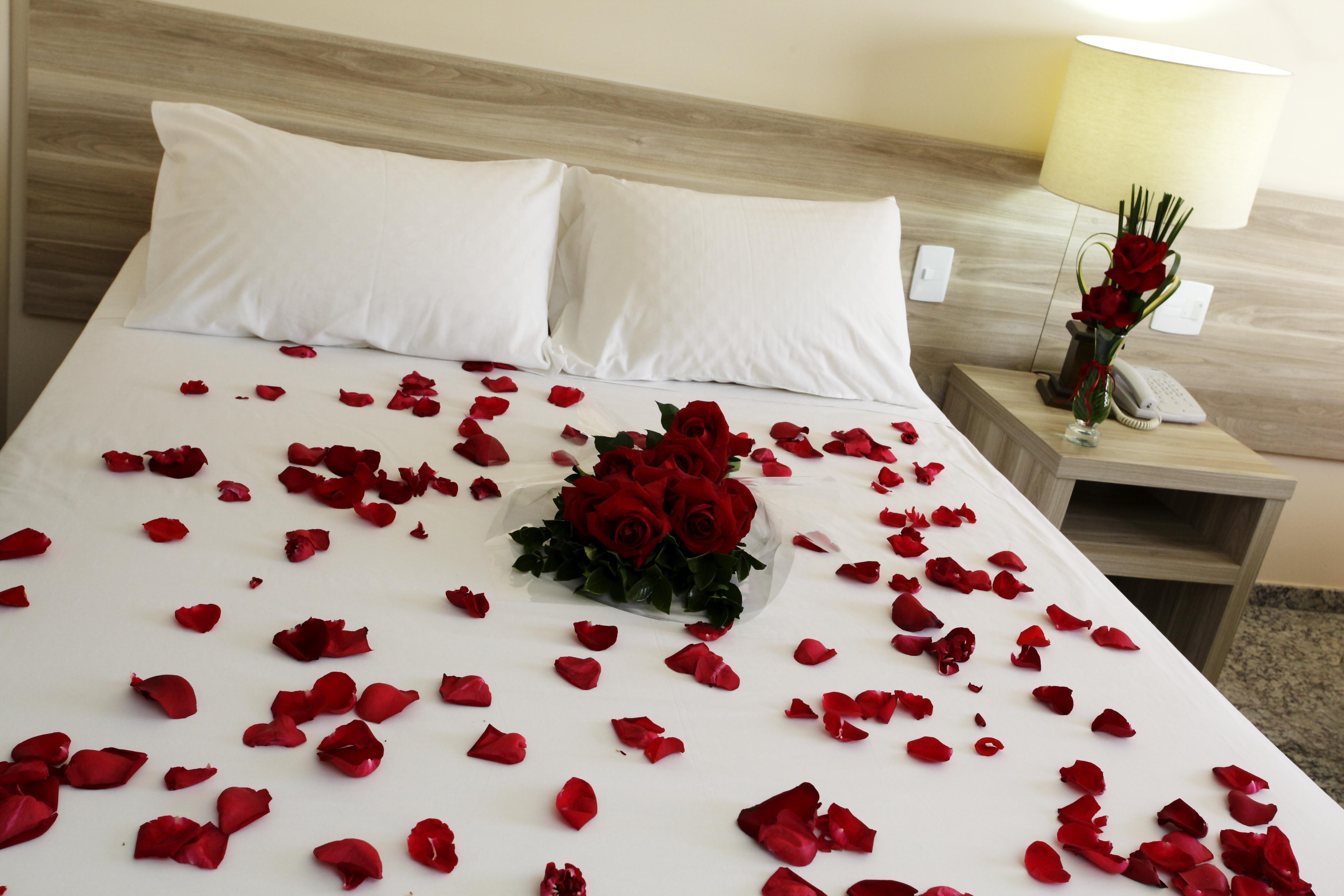 Habitación Hotel Dan Inn Campinas Anhanguera By Nacional Inn
