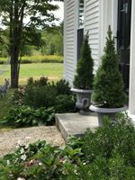 Alojamiento - The Orchard House: Inn | Ice Cream | Cafe