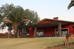Alojamiento - Auas Safari Lodge