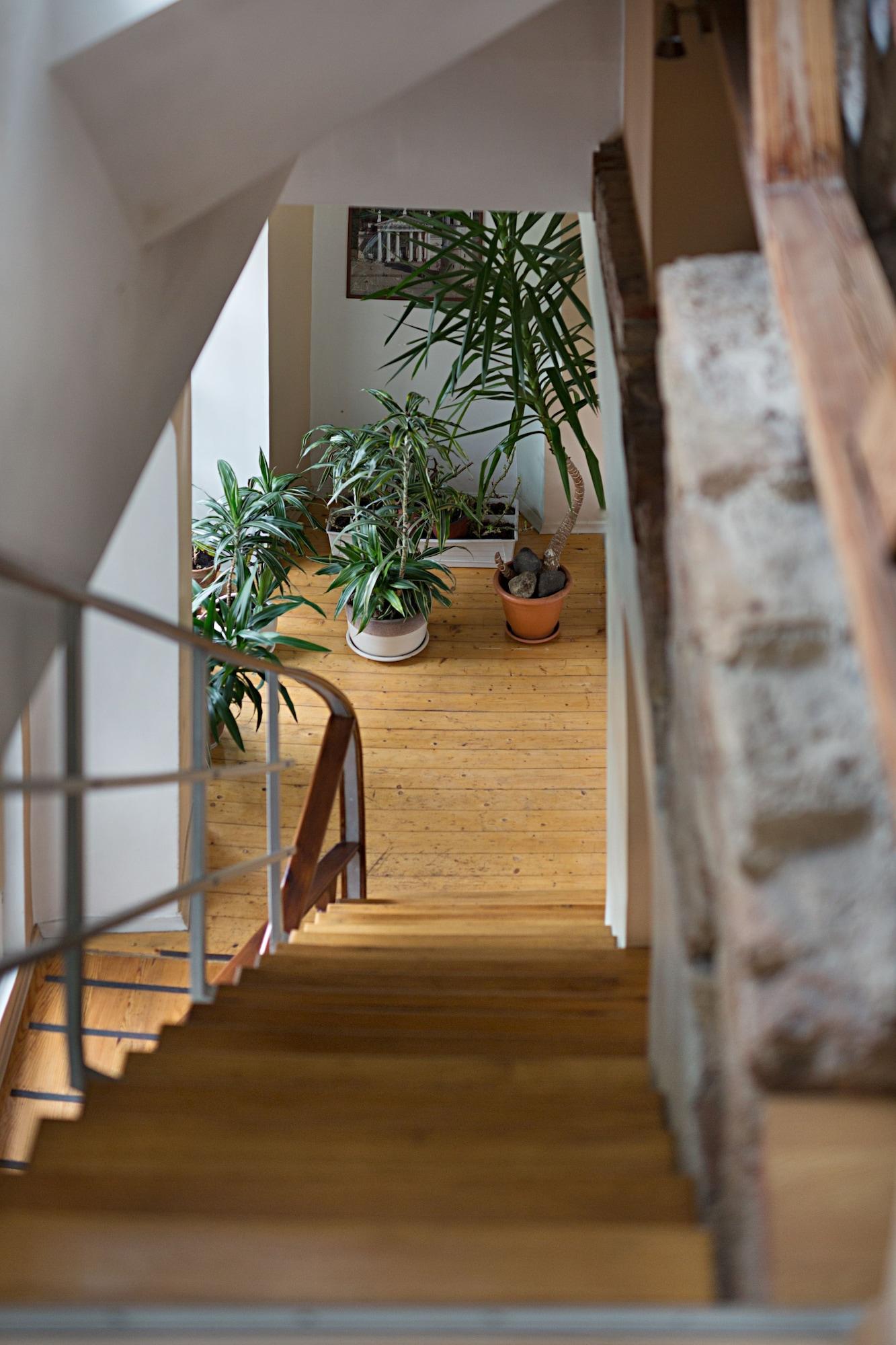 Varios Bernardinu B&B House