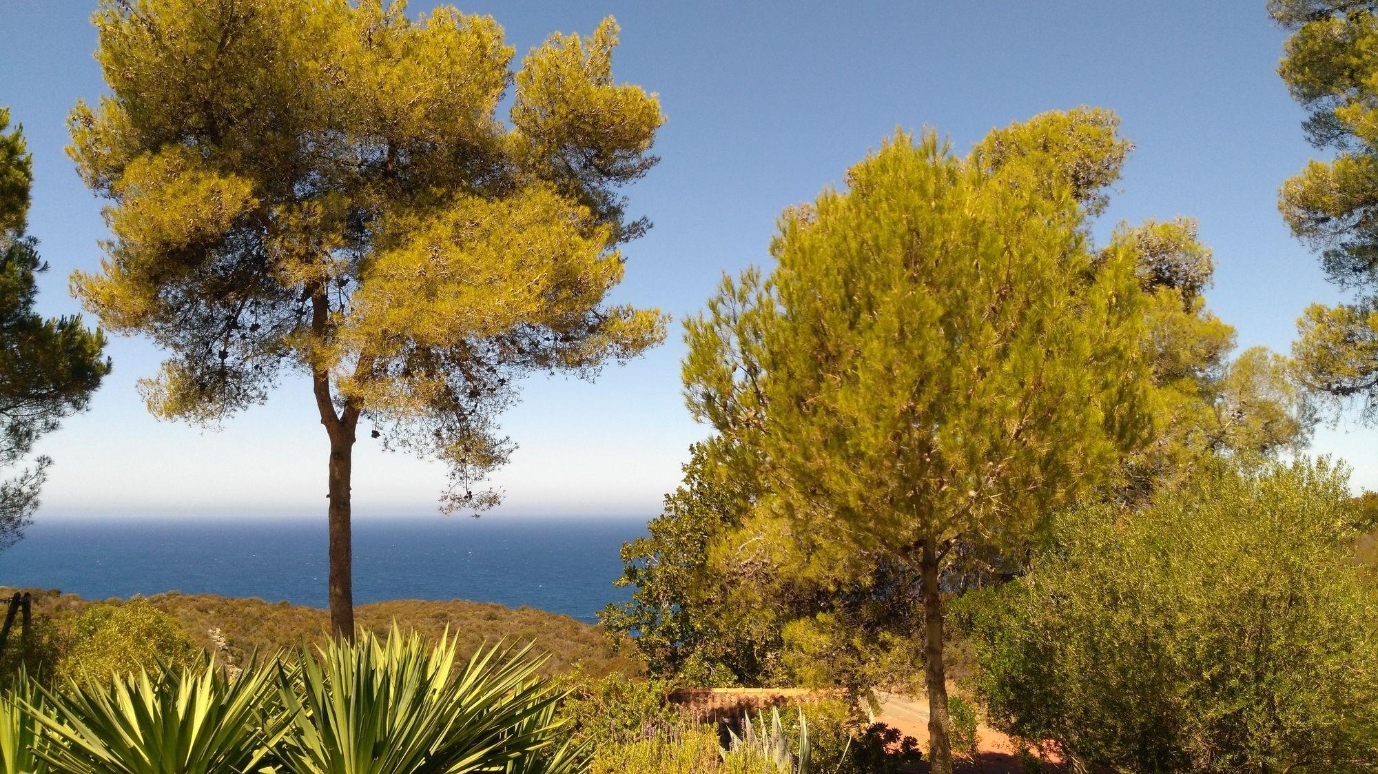 Playa Auberge Ferayola