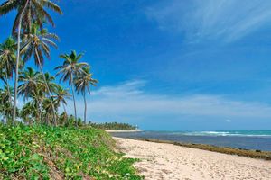 Paquete - VLP - Apartamentos próximos à Praia do Forte/BA