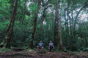 Alojamiento - El Silencio Lodge and Spa