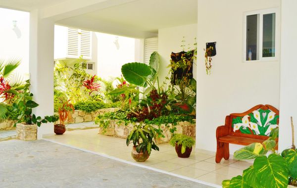 Escápate a la aventura de conocer Riviera Maya