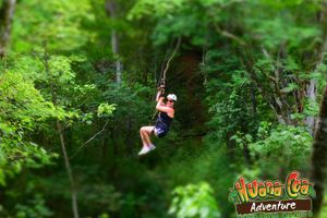 Actividad - CANOPY (ZIPLINE)