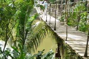 Actividad - Excursión a Gumbalimba Park
